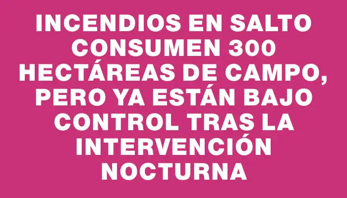 Incendios en Salto consumen 300 hectáreas de campo, pero ya están bajo control tras la intervención nocturna