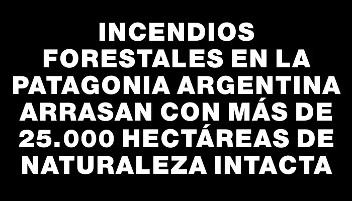 Incendios forestales en la Patagonia argentina arrasan con más de 25.000 hectáreas de naturaleza intacta