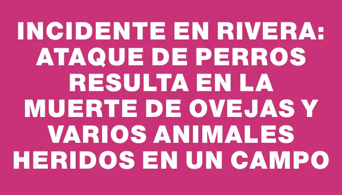 Incidente en Rivera: ataque de perros resulta en la muerte de ovejas y varios animales heridos en un campo