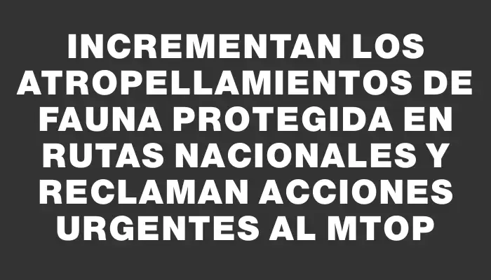 Incrementan los atropellamientos de fauna protegida en rutas nacionales y reclaman acciones urgentes al Mtop