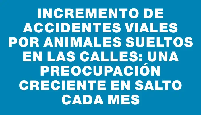 Incremento de accidentes viales por animales sueltos en las calles: una preocupación creciente en Salto cada mes