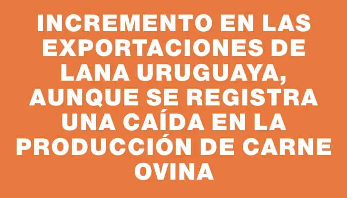 Incremento en las exportaciones de lana uruguaya, aunque se registra una caída en la producción de carne ovina