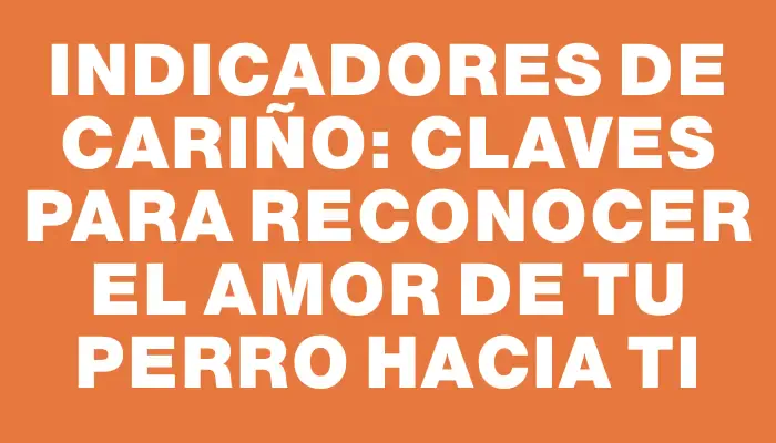 Indicadores de Cariño: Claves para Reconocer el Amor de Tu Perro hacia Ti