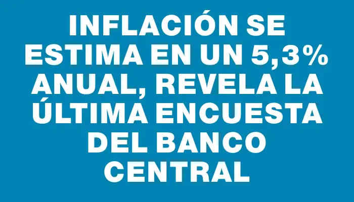 Inflación se estima en un 5,3% anual, revela la última encuesta del Banco Central