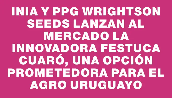 Inia y Ppg Wrightson Seeds lanzan al mercado la innovadora Festuca Cuaró, una opción prometedora para el agro uruguayo