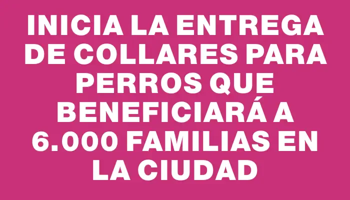 Inicia la entrega de collares para perros que beneficiará a 6.000 familias en la ciudad