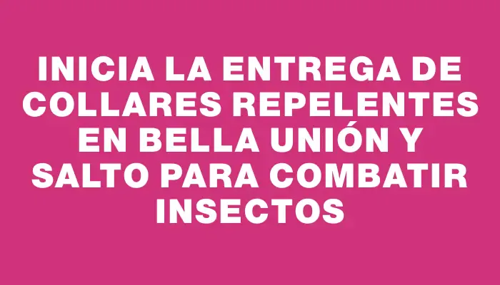 Inicia la entrega de collares repelentes en Bella Unión y Salto para combatir insectos