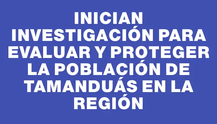 Inician investigación para evaluar y proteger la población de tamanduás en la región