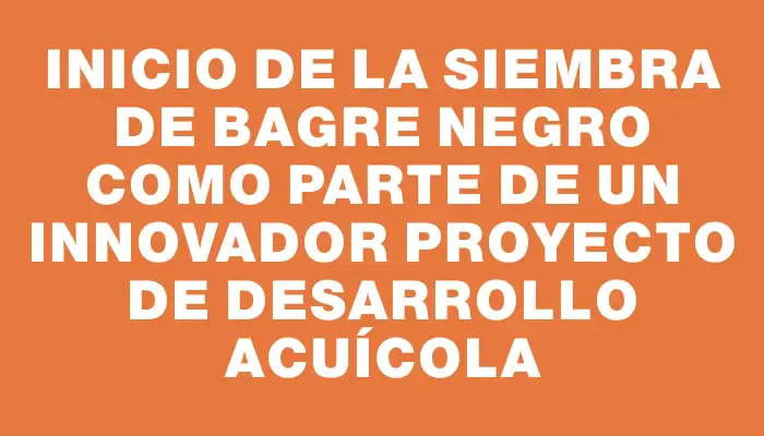 Inicio de la siembra de bagre negro como parte de un innovador proyecto de desarrollo acuícola