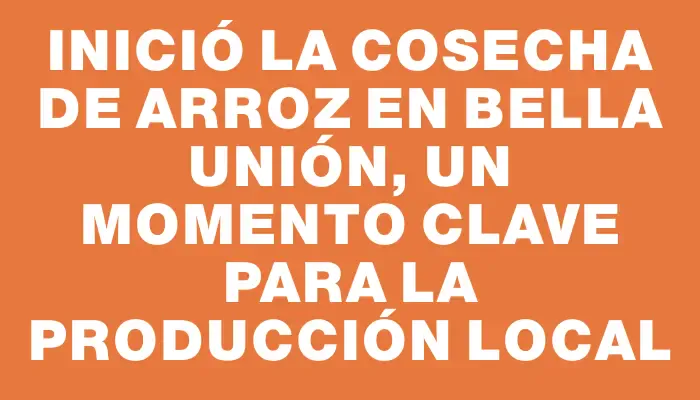 Inició la cosecha de arroz en Bella Unión, un momento clave para la producción local