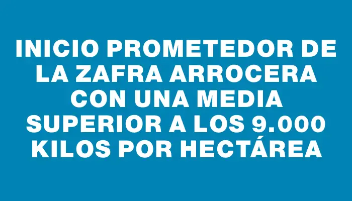 Inicio prometedor de la zafra arrocera con una media superior a los 9.000 kilos por hectárea