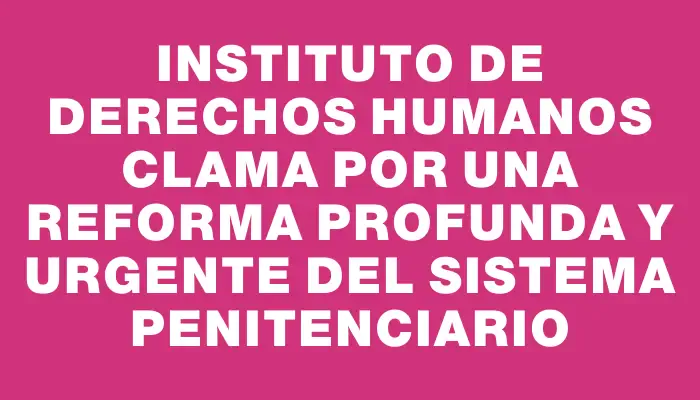 Instituto de Derechos Humanos clama por una reforma profunda y urgente del sistema penitenciario