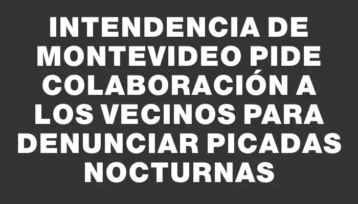 Intendencia de Montevideo pide colaboración a los vecinos para denunciar picadas nocturnas