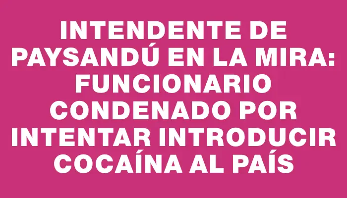 Intendente de Paysandú en la mira: funcionario condenado por intentar introducir cocaína al país