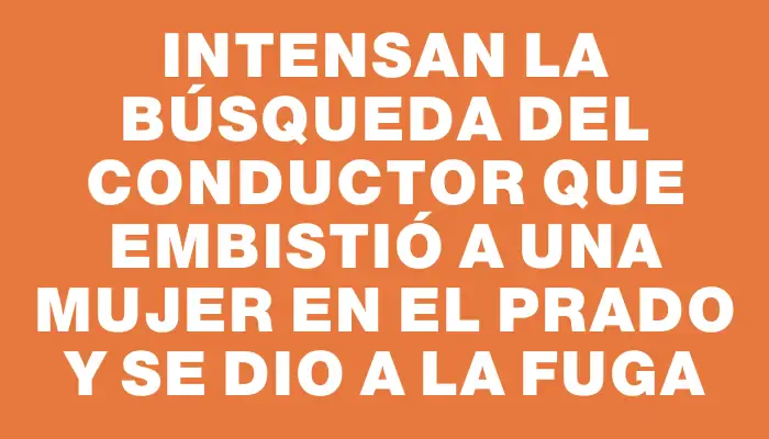 Intensan la búsqueda del conductor que embistió a una mujer en el Prado y se dio a la fuga