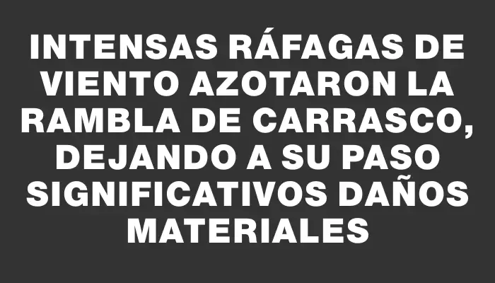 Intensas ráfagas de viento azotaron la rambla de Carrasco, dejando a su paso significativos daños materiales