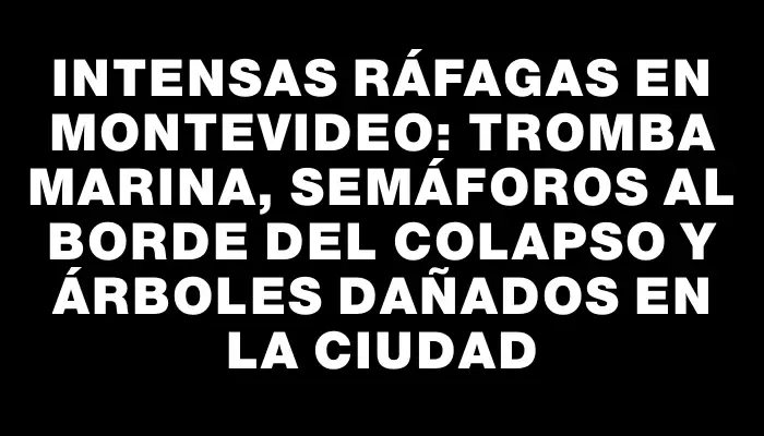 Intensas ráfagas en Montevideo: tromba marina, semáforos al borde del colapso y árboles dañados en la ciudad