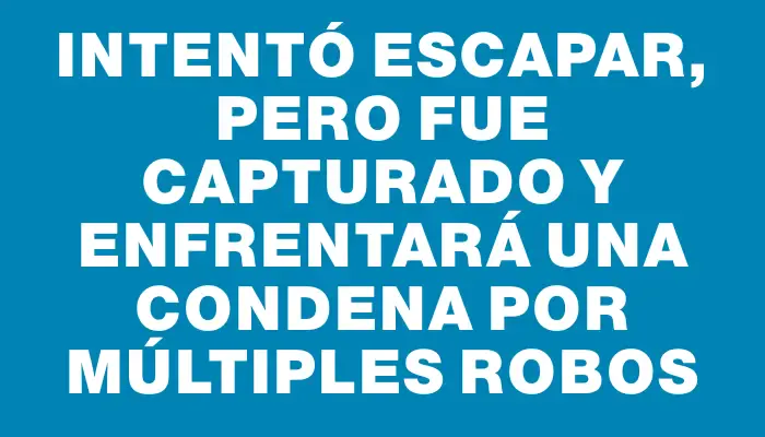 Intentó escapar, pero fue capturado y enfrentará una condena por múltiples robos