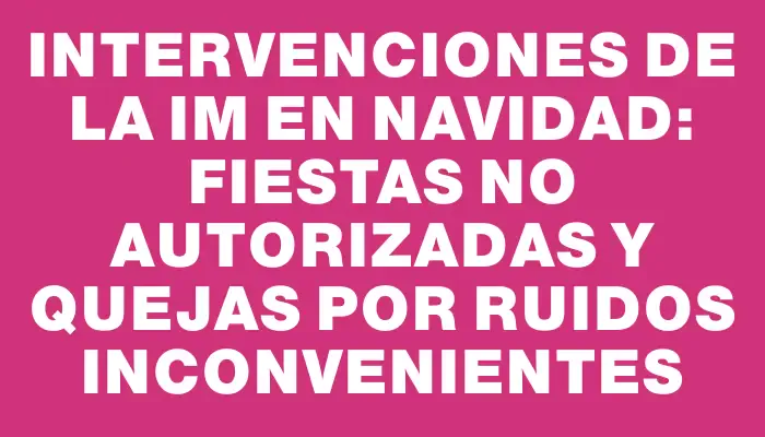 Intervenciones de la Im en Navidad: fiestas no autorizadas y quejas por ruidos inconvenientes