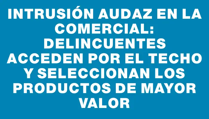 Intrusión audaz en La Comercial: delincuentes acceden por el techo y seleccionan los productos de mayor valor