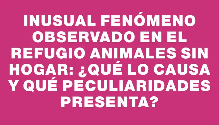 Inusual fenómeno observado en el refugio Animales sin Hogar: ¿Qué lo causa y qué peculiaridades presenta?