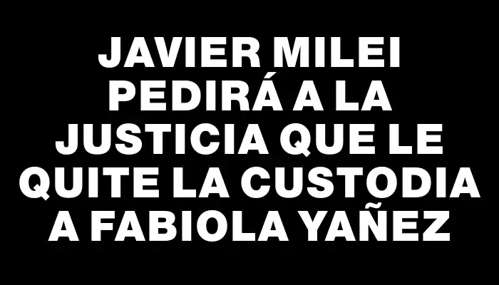 Javier Milei pedirá a la Justicia que le quite la custodia a Fabiola Yañez