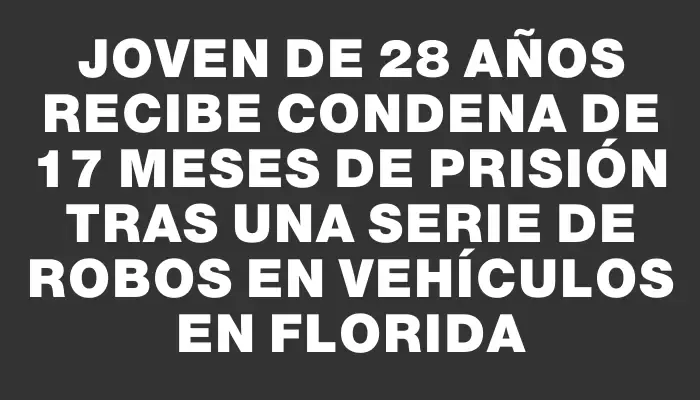 Joven de 28 años recibe condena de 17 meses de prisión tras una serie de robos en vehículos en Florida