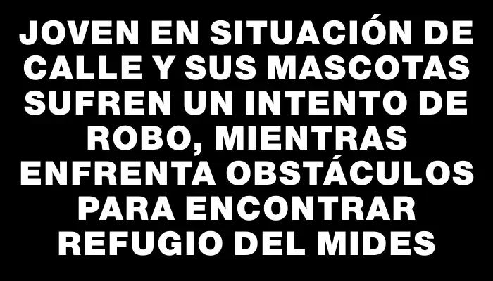 Joven en situación de calle y sus mascotas sufren un intento de robo, mientras enfrenta obstáculos para encontrar refugio del Mides