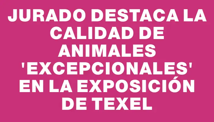 Jurado destaca la calidad de animales “excepcionales” en la exposición de Texel