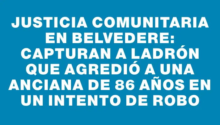 Justicia comunitaria en Belvedere: capturan a ladrón que agredió a una anciana de 86 años en un intento de robo