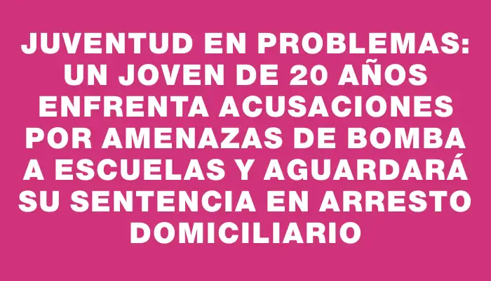 Juventud en problemas: un joven de 20 años enfrenta acusaciones por amenazas de bomba a escuelas y aguardará su sentencia en arresto domiciliario