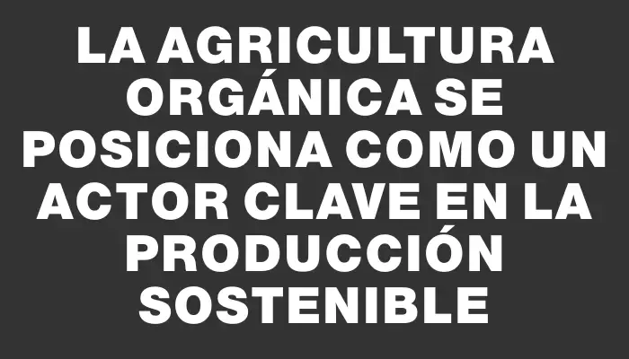 La agricultura orgánica se posiciona como un actor clave en la producción sostenible