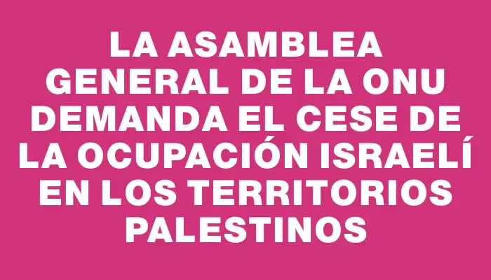 La Asamblea General de la Onu demanda el cese de la ocupación israelí en los territorios palestinos