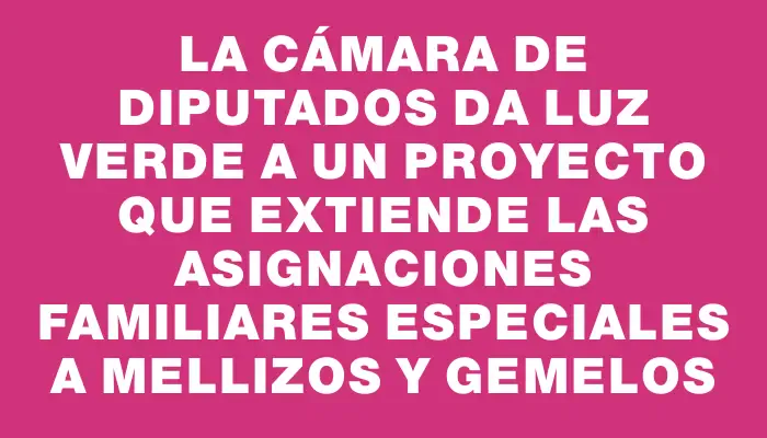 La Cámara de Diputados da luz verde a un proyecto que extiende las asignaciones familiares especiales a mellizos y gemelos