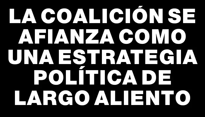 La coalición se afianza como una estrategia política de largo aliento