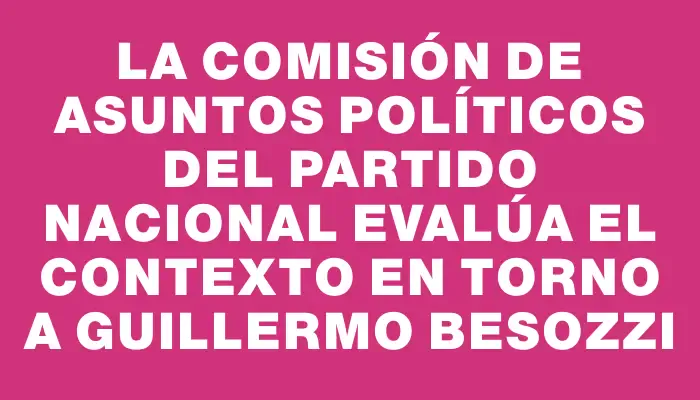 La Comisión de Asuntos Políticos del Partido Nacional evalúa el contexto en torno a Guillermo Besozzi