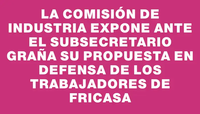 La Comisión de Industria expone ante el subsecretario Graña su propuesta en defensa de los trabajadores de Fricasa