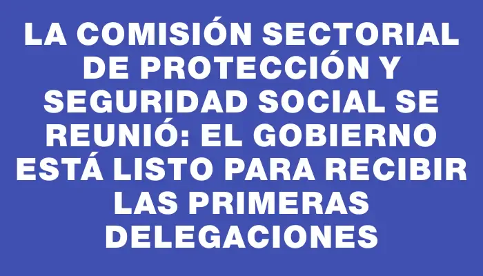 La Comisión Sectorial de Protección y Seguridad Social se reunió: El gobierno está listo para recibir las primeras delegaciones