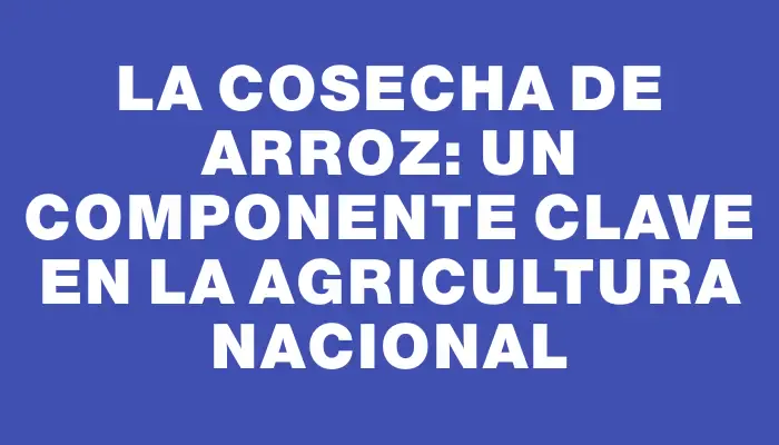 La cosecha de arroz: un componente clave en la agricultura nacional