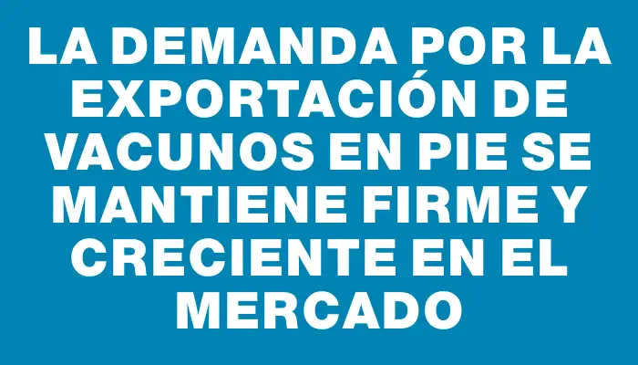 La demanda por la exportación de vacunos en pie se mantiene firme y creciente en el mercado