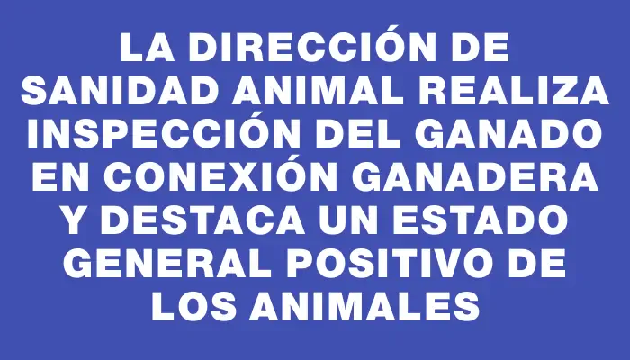 La Dirección de Sanidad Animal realiza inspección del ganado en Conexión Ganadera y destaca un estado general positivo de los animales