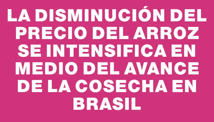 La disminución del precio del arroz se intensifica en medio del avance de la cosecha en Brasil