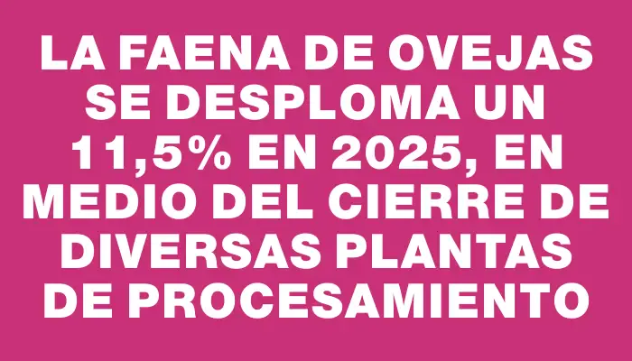 La faena de ovejas se desploma un 11,5% en 2025, en medio del cierre de diversas plantas de procesamiento