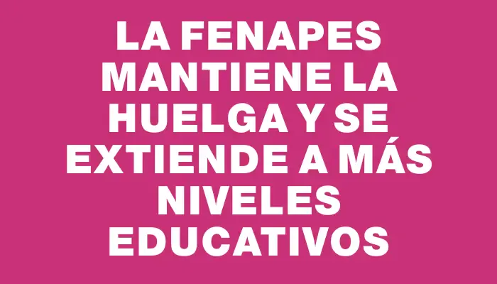 La Fenapes mantiene la huelga y se extiende a más niveles educativos