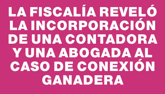 La Fiscalía reveló la incorporación de una contadora y una abogada al caso de Conexión Ganadera