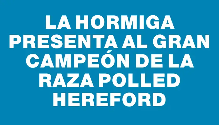 La Hormiga presenta al Gran Campeón de la raza Polled Hereford