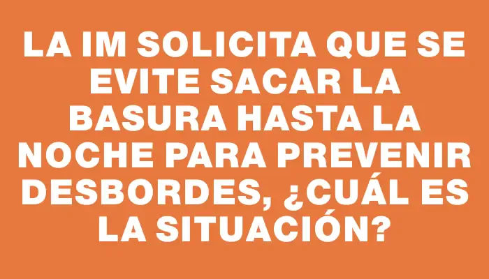 La Im solicita que se evite sacar la basura hasta la noche para prevenir desbordes, ¿cuál es la situación?