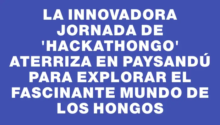 La innovadora jornada de "Hackathongo" aterriza en Paysandú para explorar el fascinante mundo de los hongos