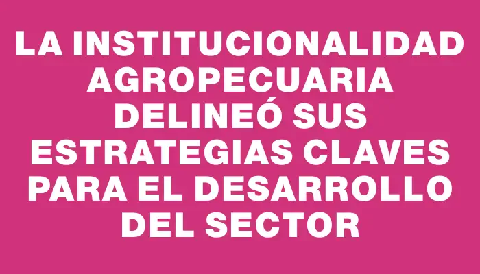 La institucionalidad agropecuaria delineó sus estrategias claves para el desarrollo del sector