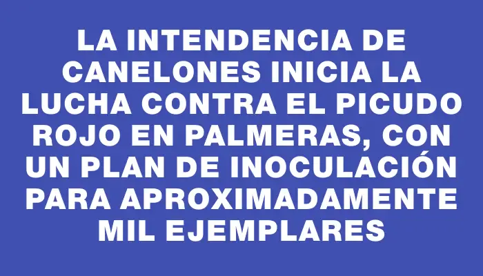 La Intendencia de Canelones inicia la lucha contra el picudo rojo en palmeras, con un plan de inoculación para aproximadamente mil ejemplares